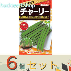 6ZbgJlRc@^l@v^[񂰂@`[[