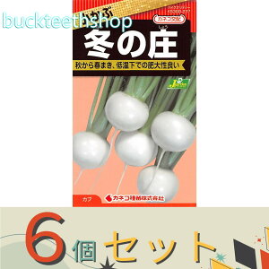 6ZbgJlRc@^l@ԁ@~̏