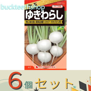 6ZbgJlRc@^l@ԁ@䂫炵