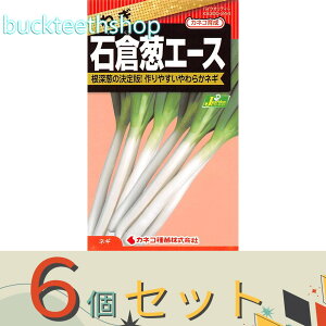 6ZbgJlRc@^l@˂@ΑqKG[X