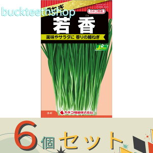 6ZbgJlRc@^l@ׂ˂@ፁij