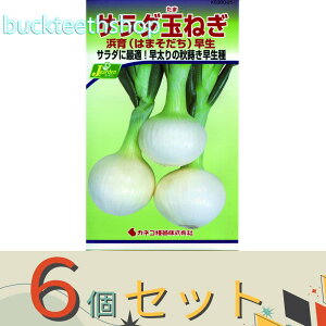 6ZbgJlRc@^l@T_ʂ˂@l@