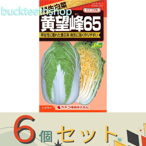 6ZbgJlRc@^l@؁@]65