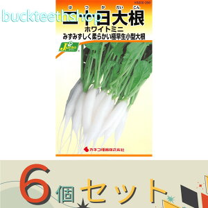 6ZbgJlRc@^l@\卪@zCg~j