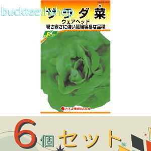 ��6�Z�b�g���J�l�R��c�@�^�l�@�T���_�؁@�E�F�A�w�b�h