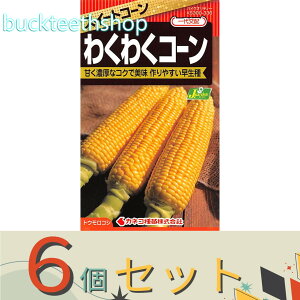 6ZbgJlRc@^l@XC[gR[@킭킭R[@i82j