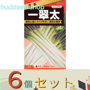 6ZbgJlRc@^l@lM@ꐉ