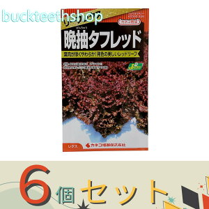 6ZbgJlRc@^l@^X@Ӓ^tbh