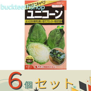 6ZbgJlRc@^l@Lxc@jR[