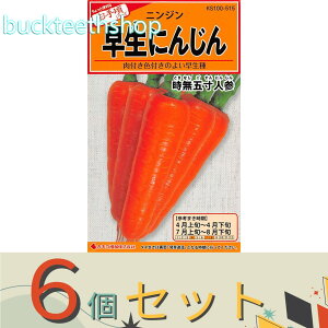 6ZbgJlRc@^l@ɂ񂶂@ܐlQ