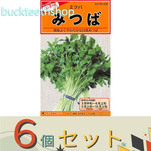 ��6�Z�b�g���J�l�R��c�@�^�l�@�݂΁@�i���s�݂΁j