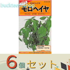 ��6�Z�b�g���J�l�R��c�@�^�l�@�����w�C��