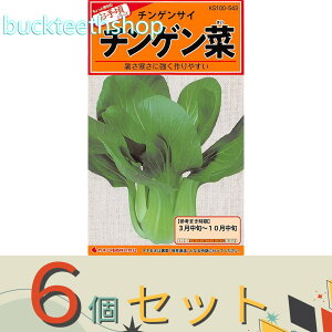 ��6�Z�b�g���J�l�R��c�@�^�l�@�`���Q����