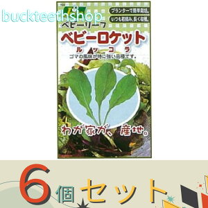 6ZbgJlRc@^l@xr[[tQxr[Pbg@bR