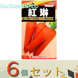 6ZbgJlRc@^l@ɂ񂶂@g