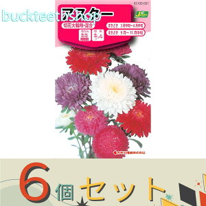 ��6�Z�b�g���J�l�R��c�@�^�l�@�A�X�^�[�@�؉ԑ�֍�E����