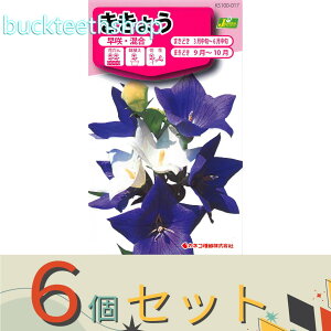 6ZbgJlRc@^l@傤@E