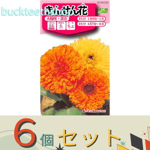 6ZbgJlRc@^l@񂹂ԁ@֍E