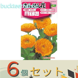 6ZbgJlRc@^l@񂹂ԁ@֍Eނ炶