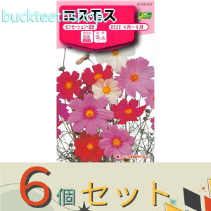 ��6�Z�b�g���J�l�R��c�@�^�l�@�R�X���X�@�Z���Z�[�V�����E����