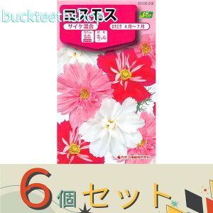 ��6�Z�b�g���J�l�R��c�@�^�l�@�R�X���X�@�T�C�P����