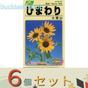 ��6�Z�b�g���J�l�R��c�@�^�l�@�Ђ܂��@���R