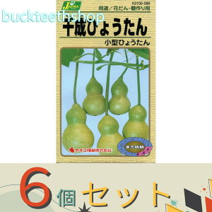 ��6�Z�b�g���J�l�R��c�@�^�l�@�琬�Ђ傤����@���^�Ђ傤����