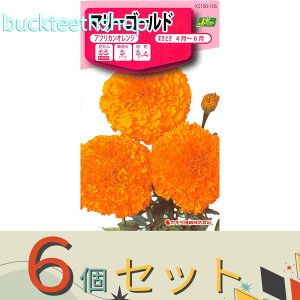 ��6�Z�b�g���J�l�R��c�@�^�l�@�}���[�S�[���h�@�A�t���J���I�����W