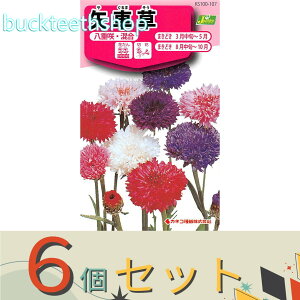 ��6�Z�b�g���J�l�R��c�@�^�l�@��ԑ��@���d��E����