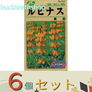 6ZbgJlRc@^l@siX@