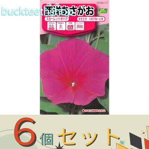 ��6�Z�b�g���J�l�R��c�@�^�l�@���m���������@�X�J�[���b�g�I�n��