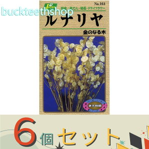 ��6�Z�b�g���J�l�R��c�@�^�l�@���i�����@���̂Ȃ��