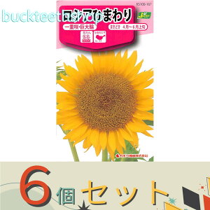 ��6�Z�b�g���J�l�R��c�@�^�l�@���V�A�Ђ܂��@��d��E�����