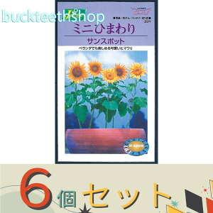 ��6�Z�b�g���J�l�R��c�@�^�l�@�~�j�Ђ܂��@�T���X�|�b�g