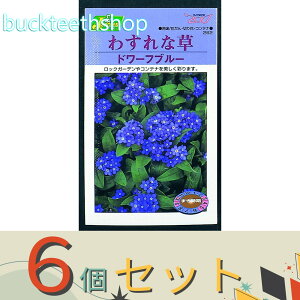 6ZbgJlRc@^l@킷ȑ@h[tu[