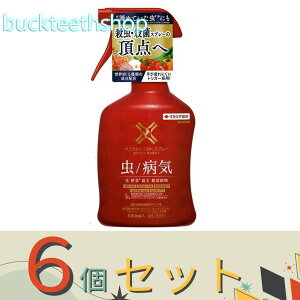 6ZbgZFw|ij@xjJXlNXgXv[@1000ml