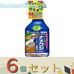 6ZbgZFw|ij@igbNXXv[1000ml@y15z4975292604501