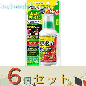 6ZbgZFw|ij@VjގKOFL250ml@y30z4975292604648