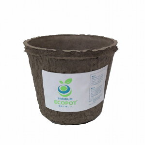 |ޔ̔@v~AGR|bg@KUA3@0D75L