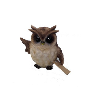 GC`Ec[I[@Jg[tNEM@HT30521@y6z4589588305210