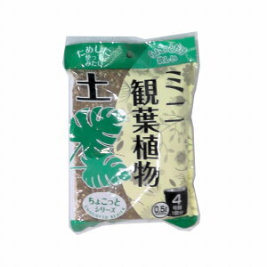 {O[T[rX@傱ƃ~jϗtA̓y@0D5L@i{Gj