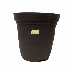 ijb`FcƁ@J[oG@@12@R[q[BR@y12z752241