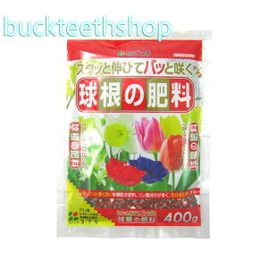 ijԂ@̔엿@400g@iԂj