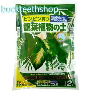 ijԂ@ϗtA̓y@2L@iԂj