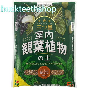 ijԂ@OϗtA̓y@5Ly8z207508