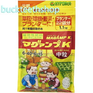 nC|lbNXWp@}O@vK@@1D1kg@y12z4977517012955