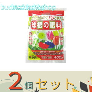 2ZbgijԂ@̔엿@400g@iԂj