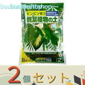 2ZbgijԂ@ϗtA̓y@2L@iԂj