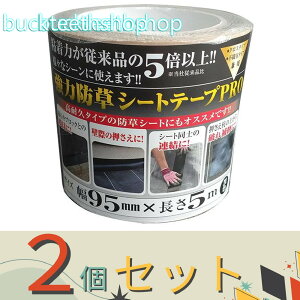 2Zbg{}^C@͖hV[ge[vPRO@95mm×5m@y27z4989156107282