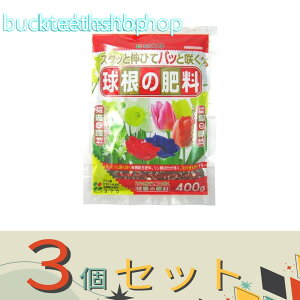 3ZbgijԂ@̔엿@400g@iԂj